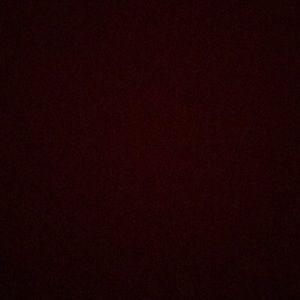 Meet your Posher, Will